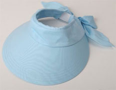 Visera