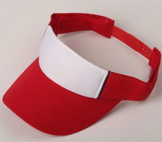 Visera